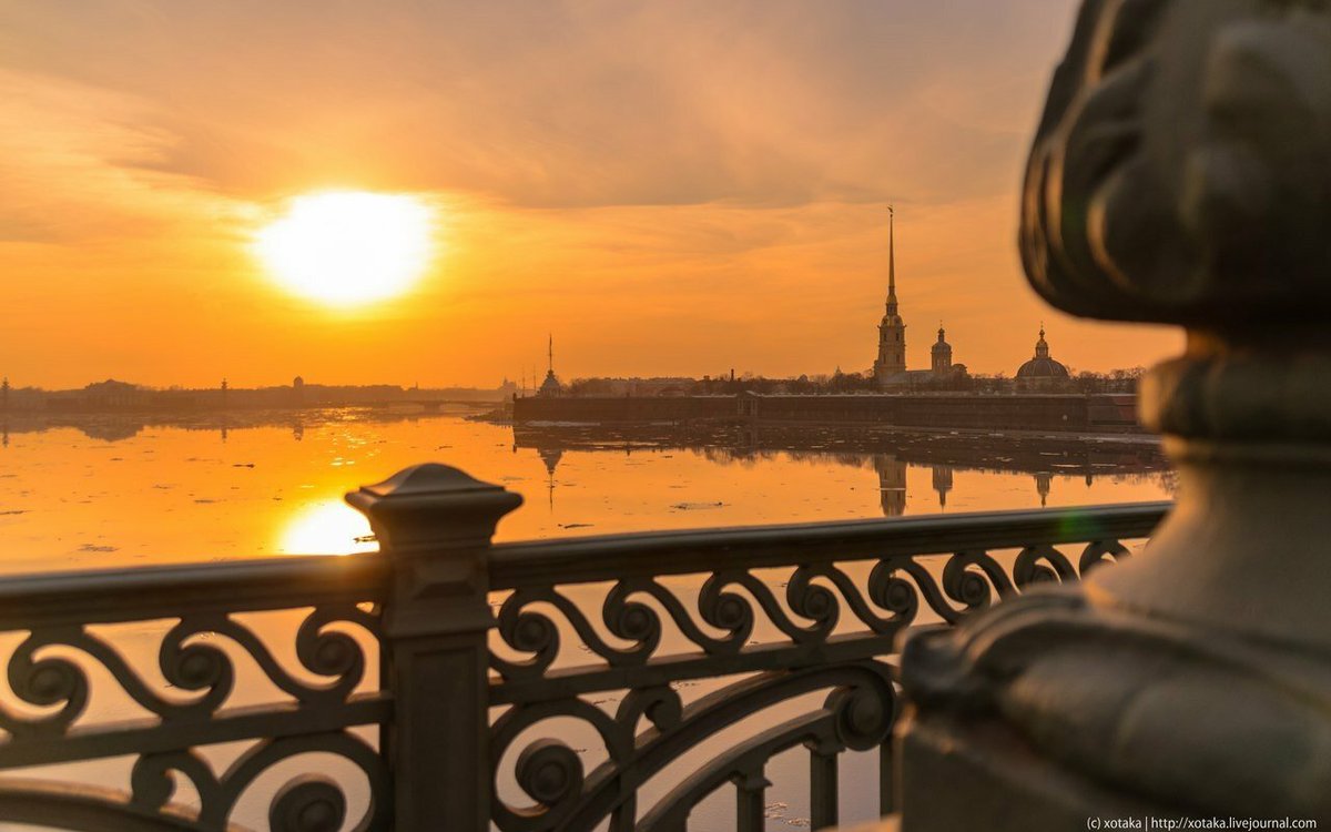 Flash Питер | Новости tweet media