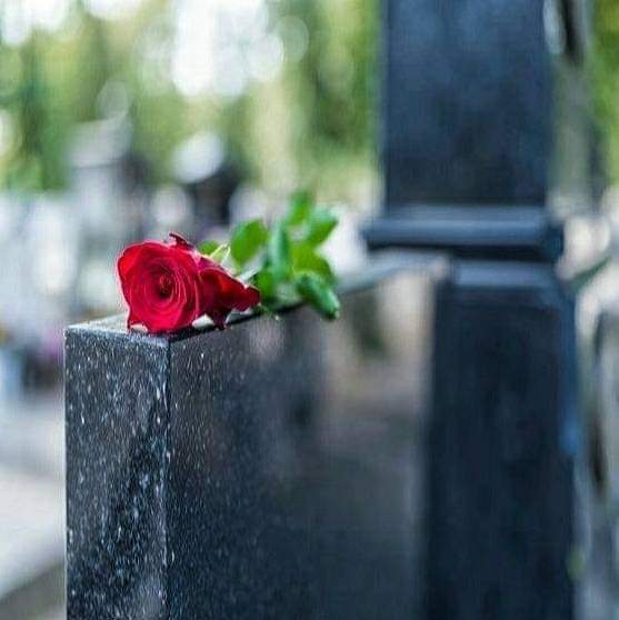 Aslam o Alikum ❣💯
JUMMAH MUBARAK 🌸🌸🌲