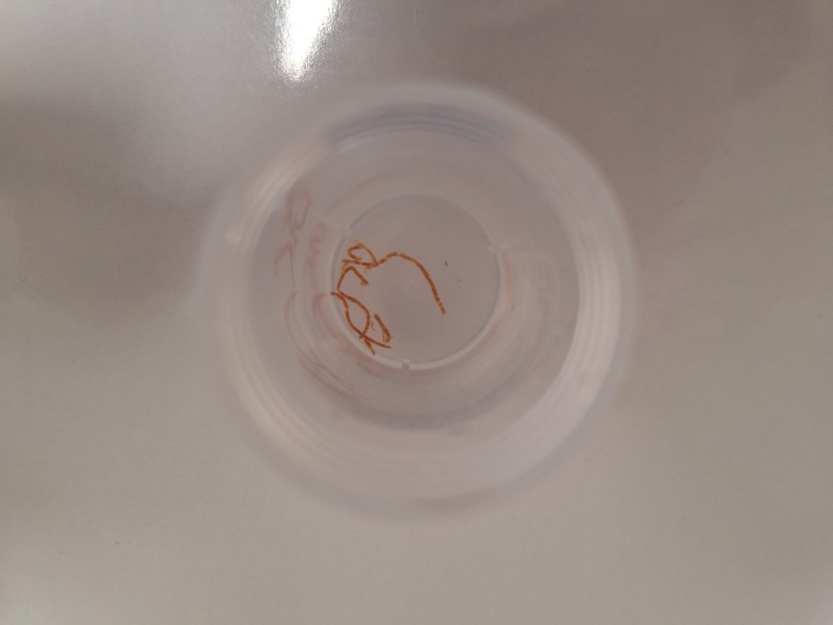 Salih Tokmak tweet media