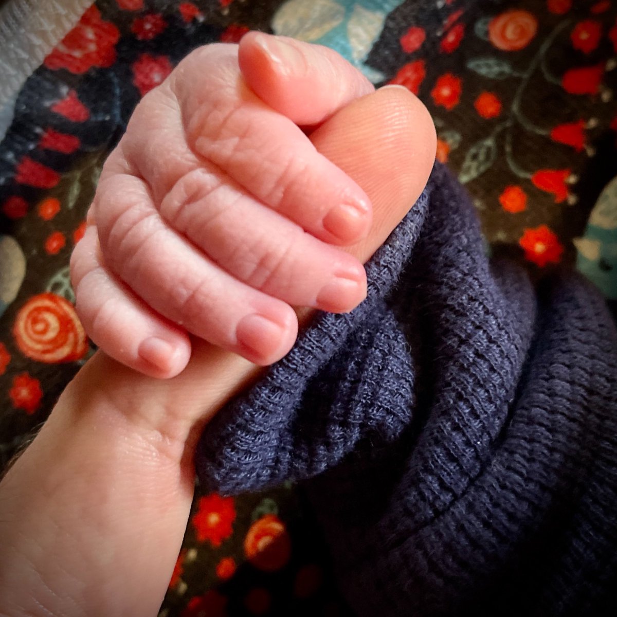 Patrick Catanzariti tweet media