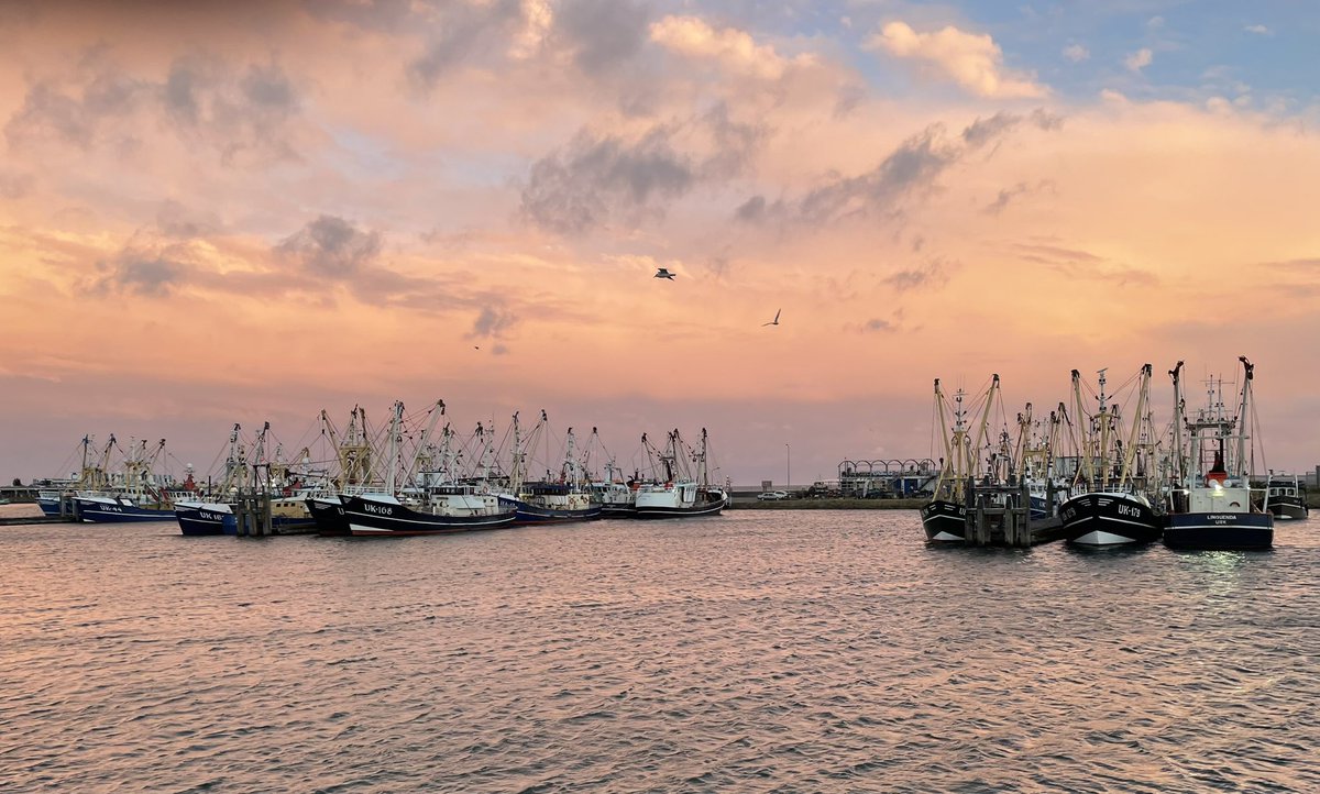 Jacob van Urk tweet media