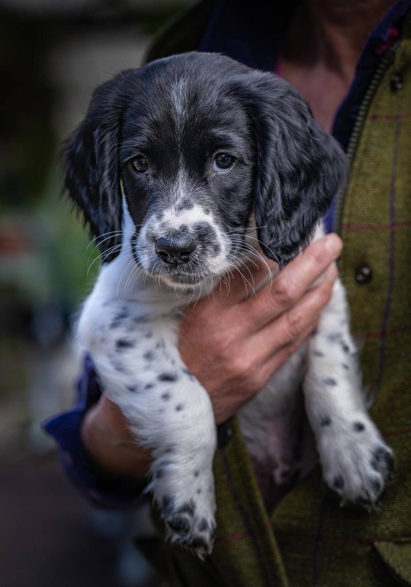 TroutThe's tweet photo. So the Adventure stats again, and I blame @MattLimbImages #dosoftwitter https://t.co/eEWMWkVvxd