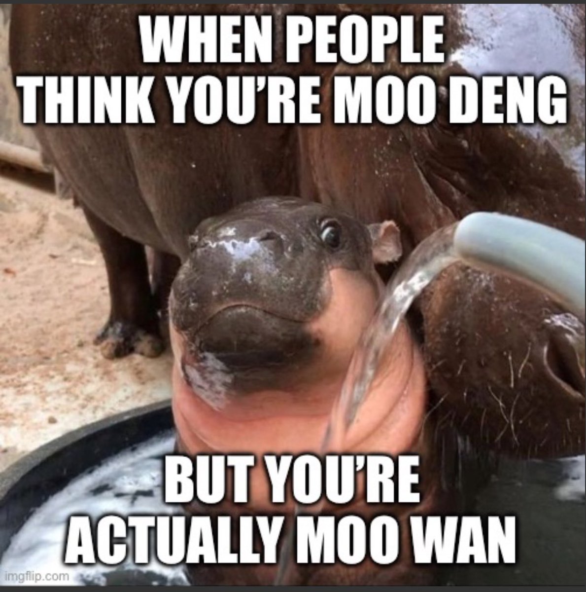 MooWanSOL's tweet photo. @m0neypr1nter https://t.co/2bMCSOHQjo