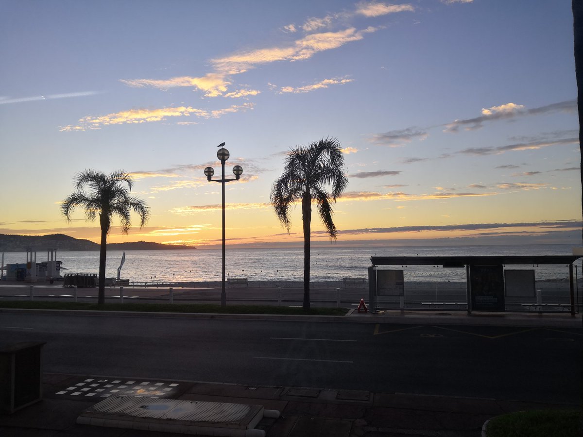 Bertold X tweet media