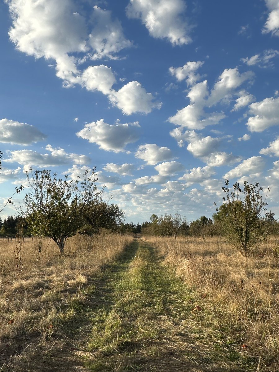 NeilPattonMusic's tweet photo. Feels like something’s coming. It’s that final push before something new. Watch this space.
For now, remembering to breathe.
#artistlife #somethingnew #chasingbeauty #music #solopiano #solopianomusic https://t.co/d1aUwzRCni