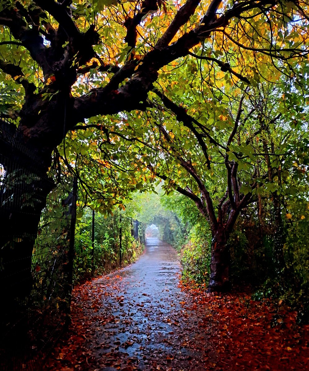 Sometimes, even the most unpromising places look magical for a moment #Harrogate