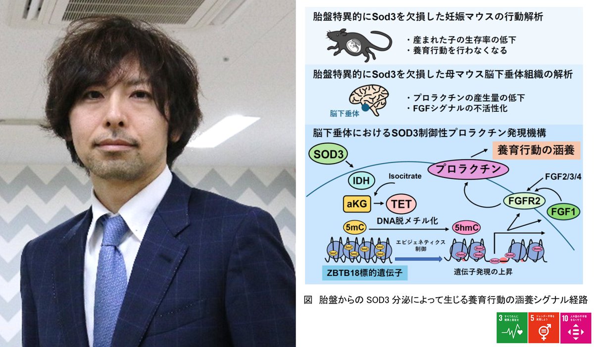 東京医科歯科大学 tweet media