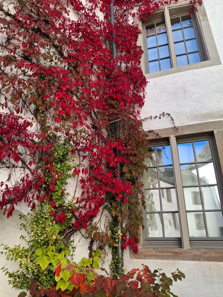 MonicaEPace's tweet photo. Clervaux castle https://t.co/81AvRIdydD