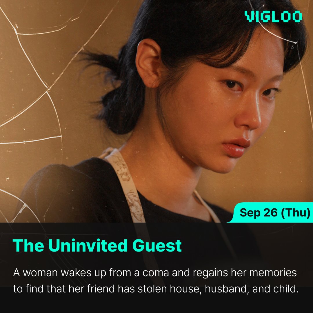 Vigloo_official tweet media