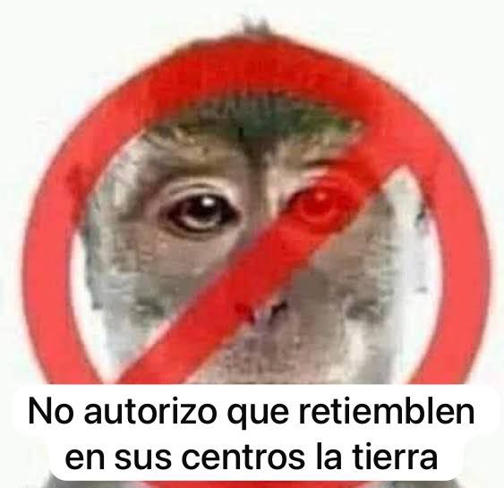 leitomartinez's tweet photo. ¡YA BASTA! 😭 https://t.co/k9BsBsmfUx