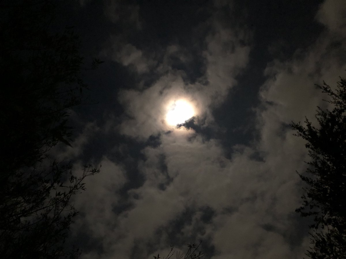 chuygarzam's tweet image. Digamos a Dios: Padre misericordioso, en todas las circunstancias y momentos de la vida, que nos fiemos de ti. Líbranos de buscar lo pasajero, pues sucumbiremos junto con ello.
#BendecidaNocheParaTi #ViveAlegreHoy #26Sept🇲🇽