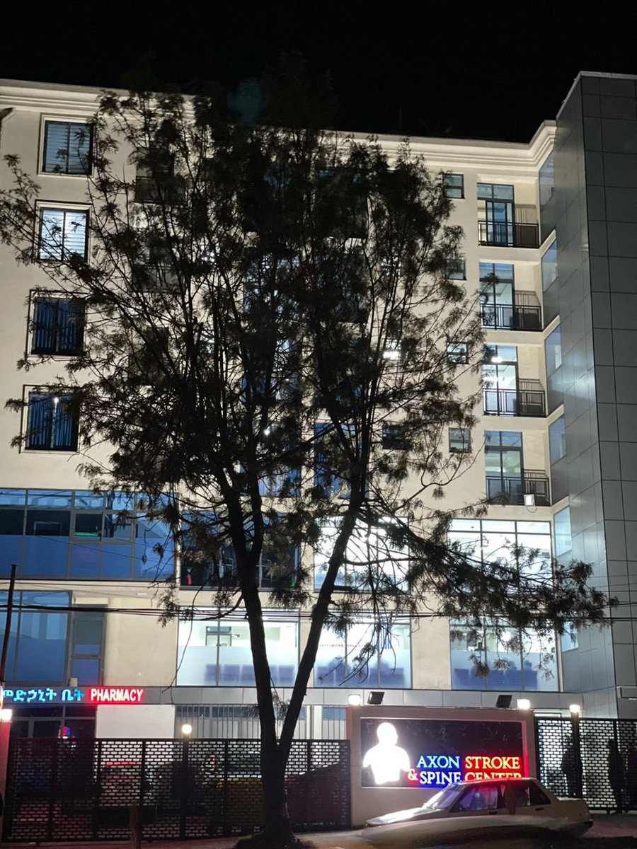 Wondwossen Gebreamanuel Tekle tweet media