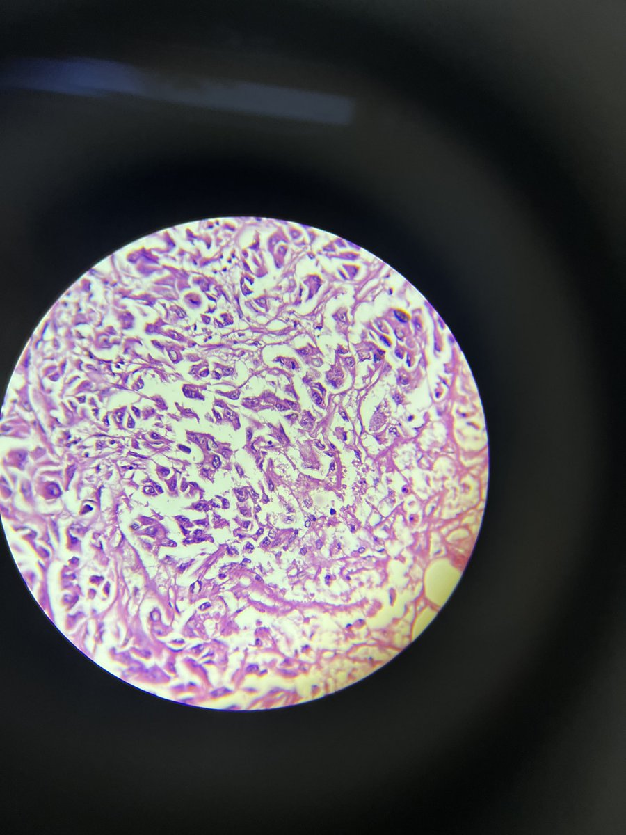 Muhammed Salman Siddiq,MD tweet media