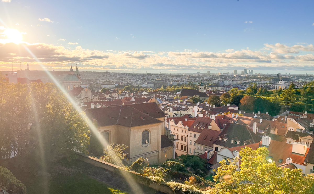 Blanche N tweet media