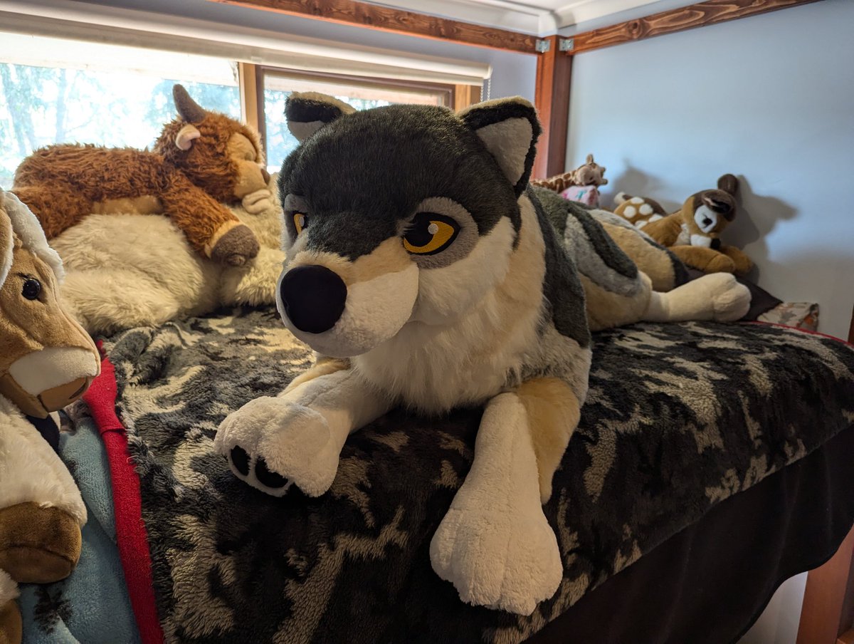 Squishy Yeen tweet media