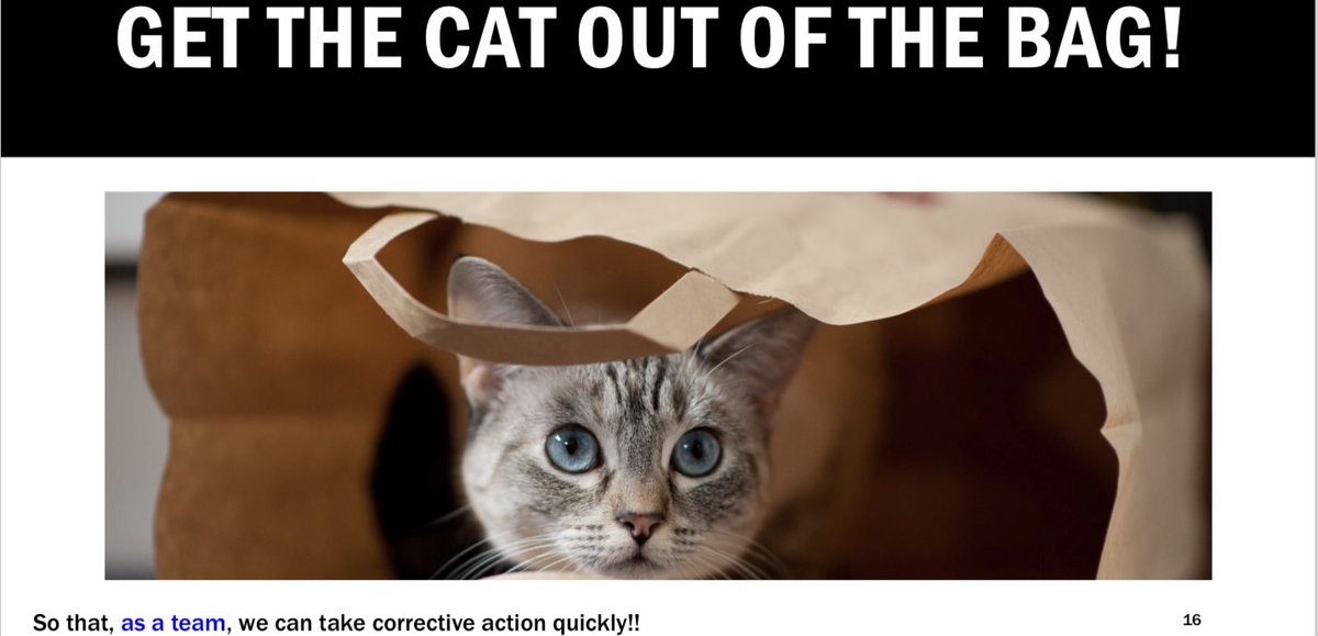 QuantumQICoach's tweet photo. And then there was that hilarious moment with the cat in the bag @MDalauidao 😂

“Get the cat out of the bag!”

@matsika_moyo @IPS_Infection #IP2024Conf https://t.co/GXzfLHoMOL
