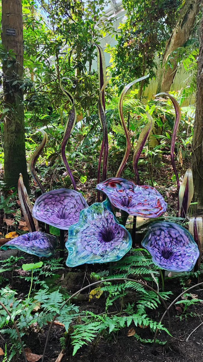 David Jobling tweet media