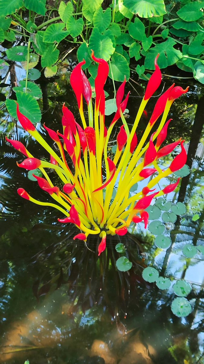 David Jobling tweet media