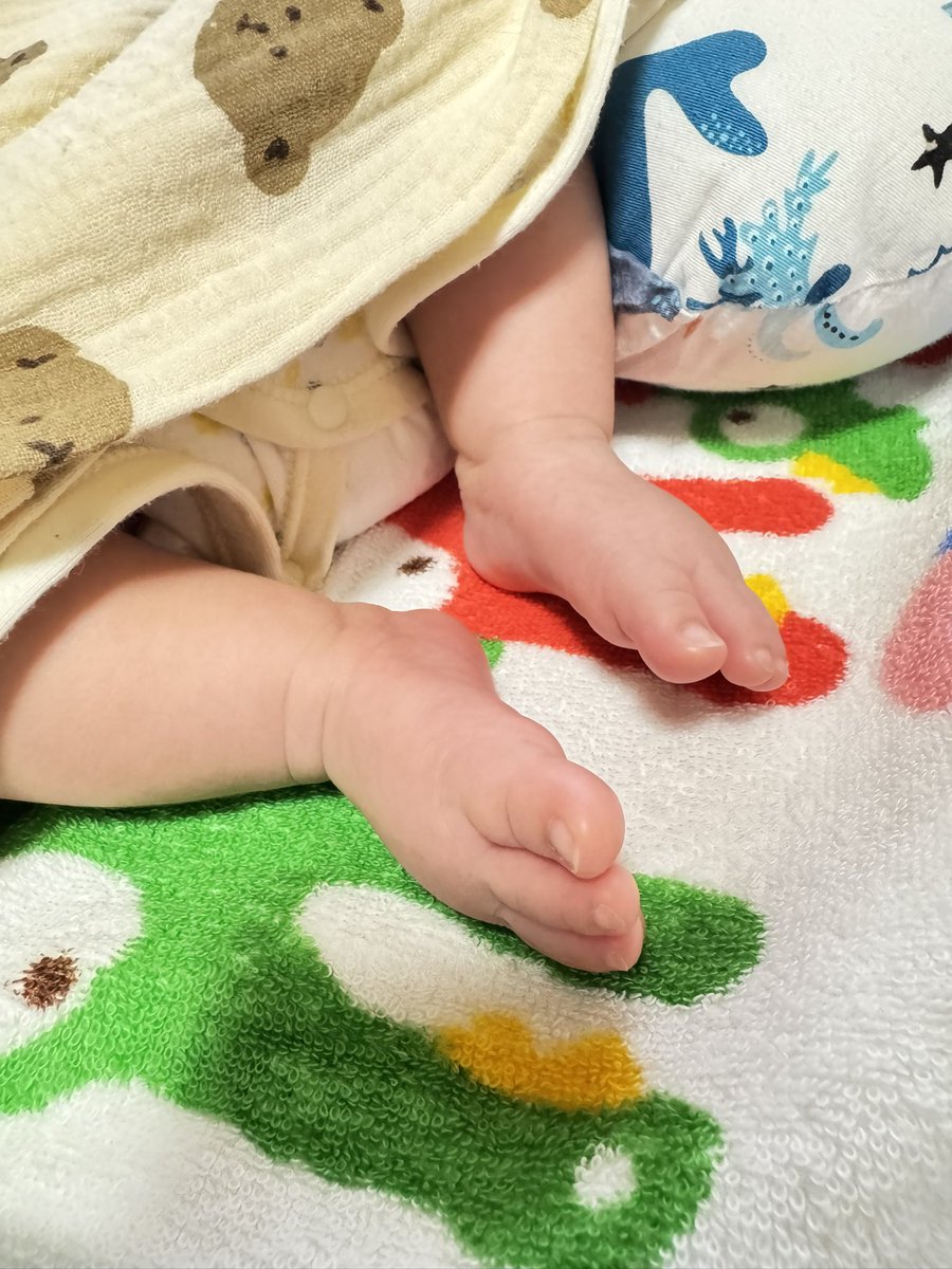 ao_web_design's tweet photo. デザインお願いできますか？
と連絡来ました✨

久しぶりの子育ての中、
バタバタしております。

そんな中、以前依頼いただいていた方よりご連絡いただきました✨嬉しい☺️
満足してもらえるように頑張りたい💪

#Webデザイナー #Webデザイン　#Webデザイナーと繋がりたい https://t.co/EEJKJppYvj