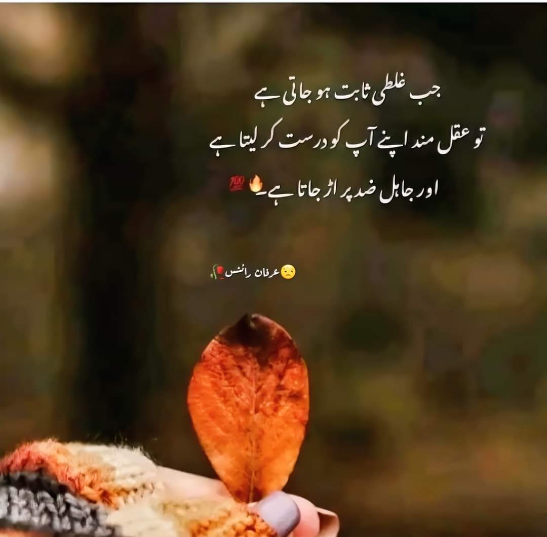 MMujahid564567's tweet photo. Ya Aj kl ho rha ha https://t.co/y3JJiWyKyJ