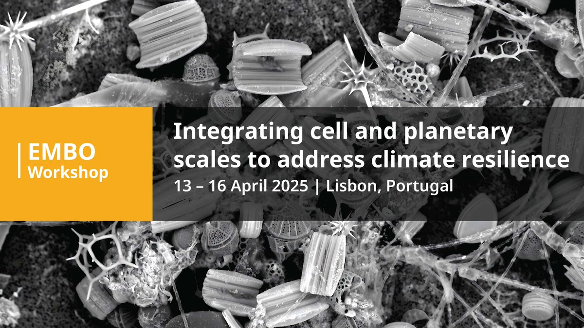 Monica Bettencourt-Dias tweet media