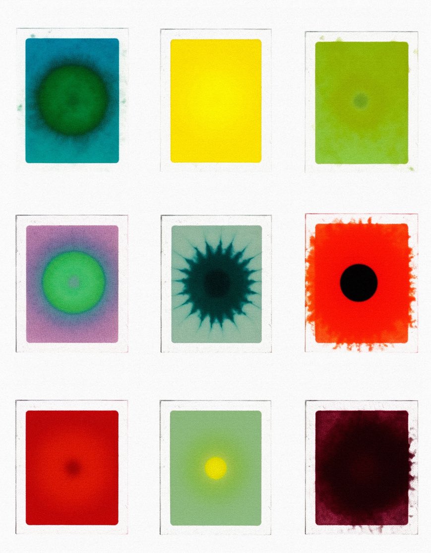 Gm ☕️

In the end all the cells position themselves and create a single entity called humanity

On Sol 🔗👇