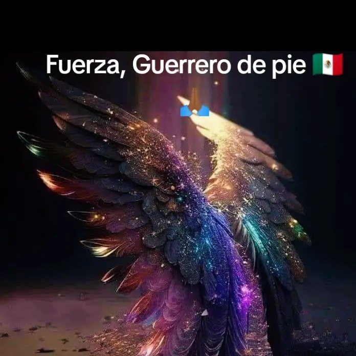 DanielOran4's tweet photo. 🙏🏾🇲🇽😓 volveremos a brillar Acapulco https://t.co/Tc3e5udvTu