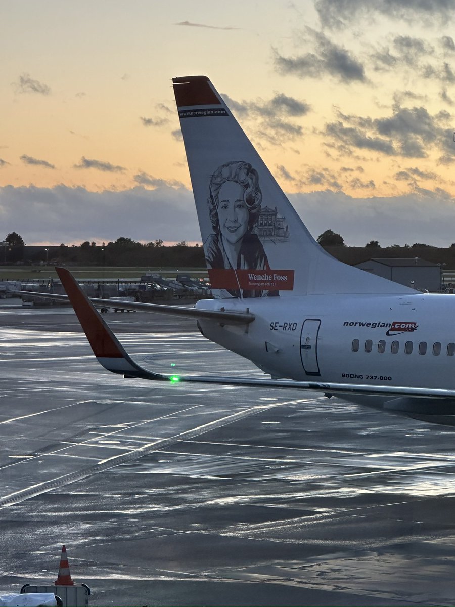 Mohammad Reza Eini tweet media