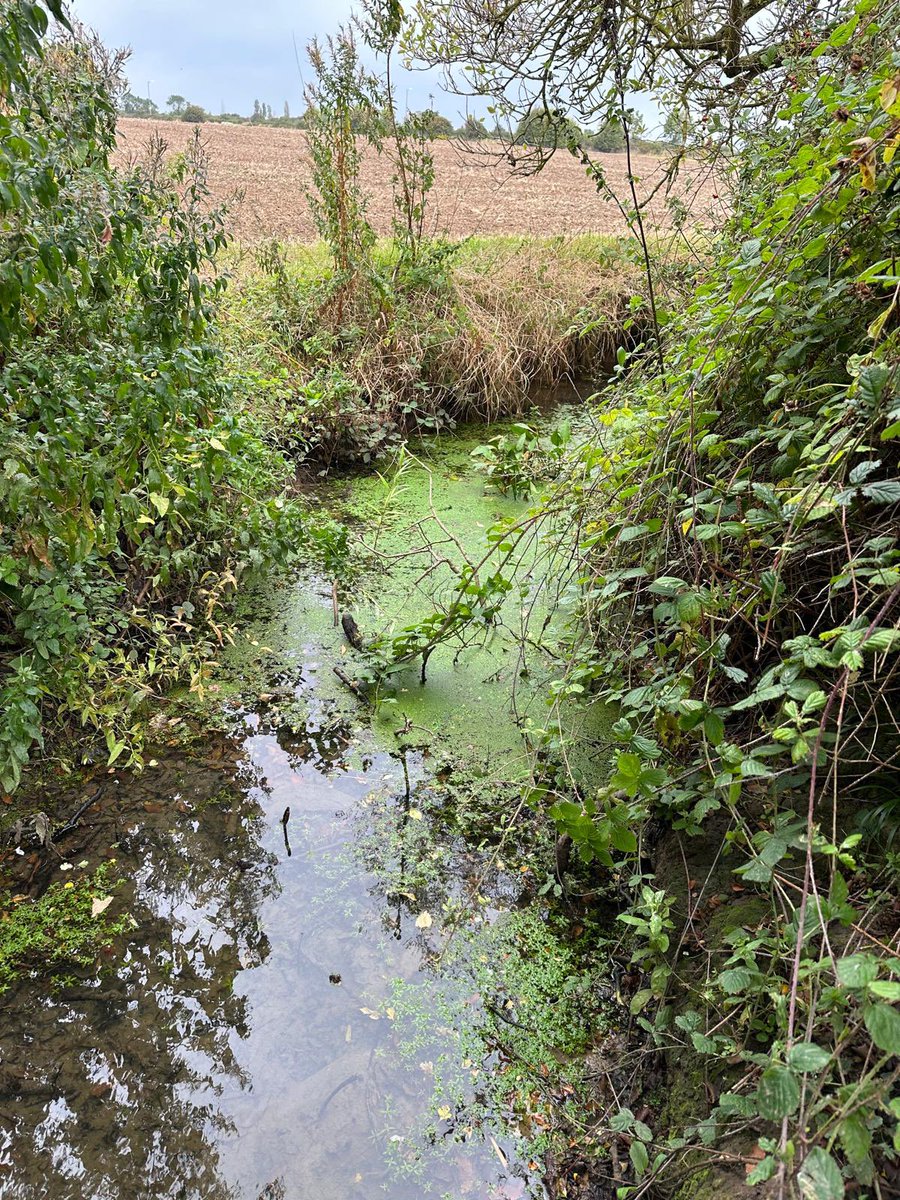 considineinfo's tweet photo. Jack’s been out exploring opportunities for surface water connections near Herne Bay. 👀 

#civilengineer #civil_engineer #civilengineering_life #constructioncompany #civilengineeringdaily #civilengineeringstudents #structural_engineering https://t.co/LLN2nhOSJP