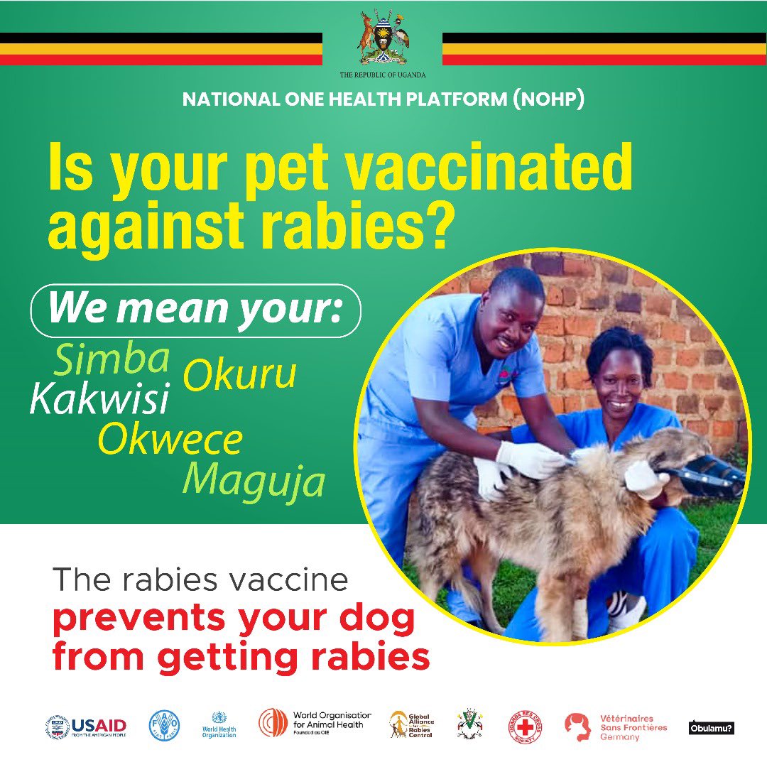 One bite from your unvaccinated pet could change everything. 🐕

😧 Keep your family and community safe by vaccinating Kakwisi and other pets 🐈‍⬛ against rabies at your nearest vet center.

For any inquiries/support, reach out to Dr. Ezzy, 
📞 0800-211-046 📥 SMS 8080

#WRDUg23