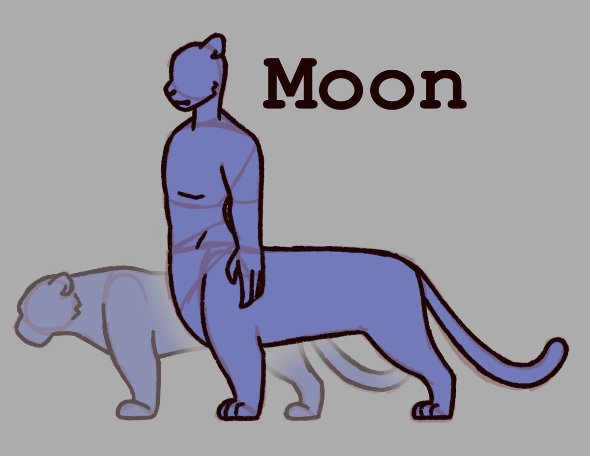 a_bit_spicy's tweet photo. #MOONWEEK Day 4: Recent
So I already shared my most recent drawing of canon Moon so why not share my most recent kitty Moon? Basically I made a size chart just to figure all the heights out. So there’s leopard Moon compared to a normal leopard https://t.co/ODAojqnzhZ