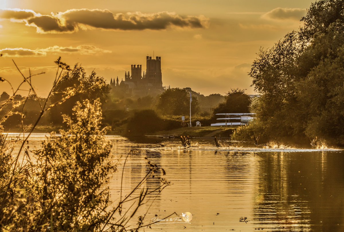 Ely Cathedral at Sunset from across the river Great Ouse is a great location this time of year 🧡
Ely, Cambridgeshire ☺️
Thought these will brighten up a ☔️ rainy and windy Friday. 
#Sunsets #LoveElyCathedral #nature #TheFens