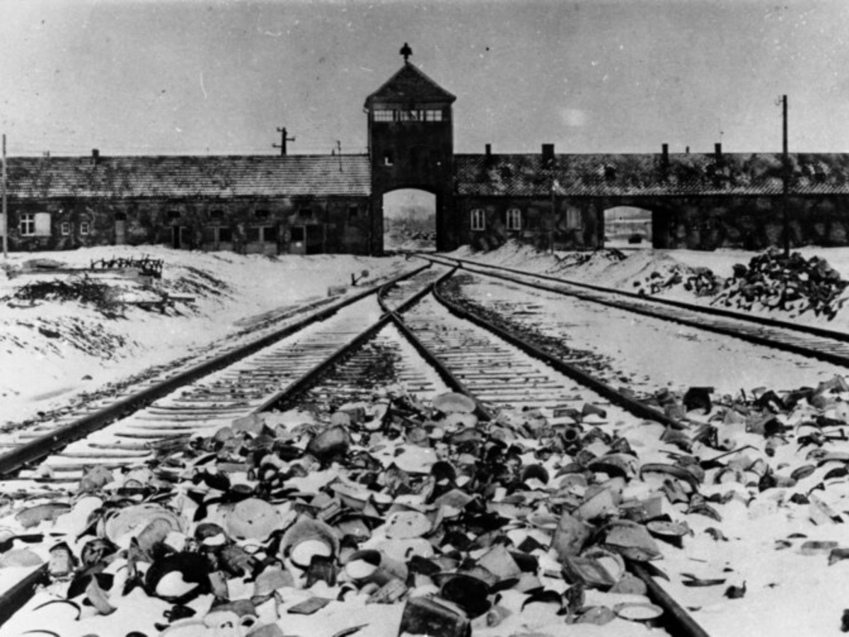 R_DeCastelnau's tweet photo. Le 27 janvier 1945, l’armée rouge libérant la Pologne atteignit le camp d’Auschwitz. Le jour de cette libération a été déclaré « Journée internationale de commémoration de l’Holocauste » par l’ONU. En janvier 2025, pour les 80 ans, des cérémonies seront organisées. Les Russes n’y seront pas invités, les créateurs allemands du camp et les pourvoyeurs ukrainiens en victimes seront présents.
Il y a quelques mois, dans le cadre de leur tournée en Europe, des militants du groupe Azov, organisation qui se réclame de Stepan Bandera auxiliaire zélée des nazis pour la « Shoah par balles », se sont rendus à Auschwitz se photographiant avec des symboles nazis.
Incroyable inversion donnant raison à Georgui Youkov qui disait en 1945 à propos des occidentaux : « nous les avons libérés du nazisme, ils ne nous le pardonneront jamais ».