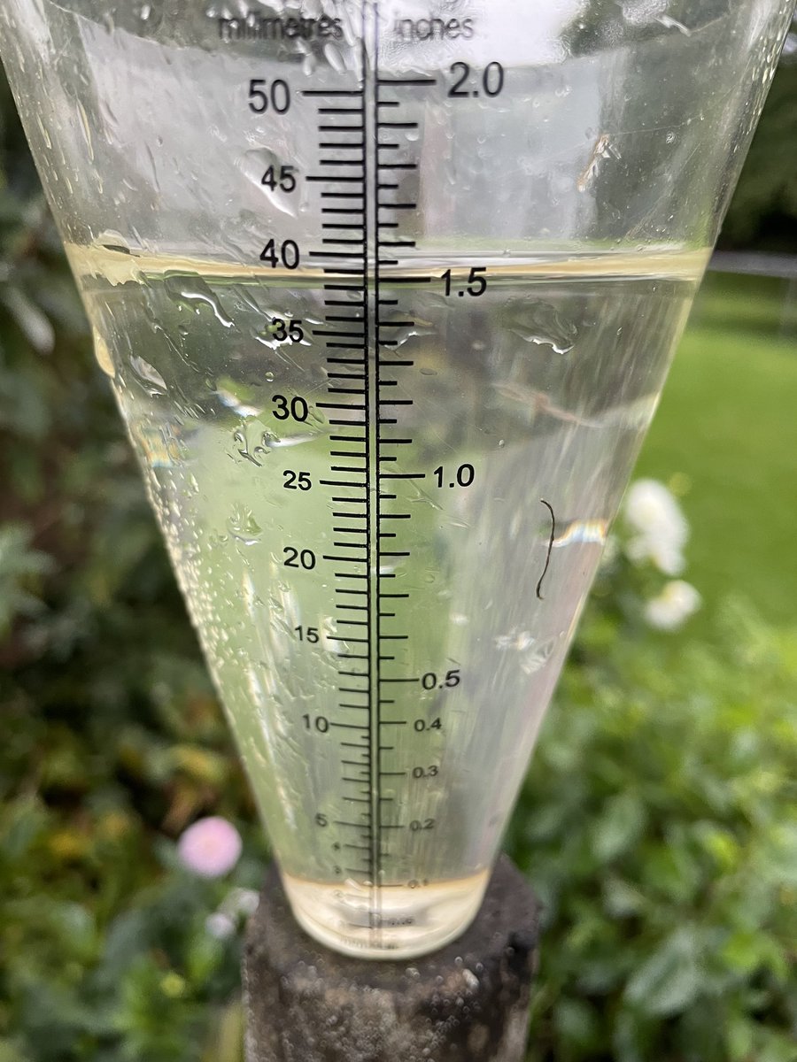 loweroddfarm's tweet photo. Greatest amount ever recorded here. Monthly total now at a record 190mm! With this being replicated across parts of Europe might our politicians heed the warnings about food security? The bible mentions a seed time and a harvest, both look questionable. https://t.co/5JyAk5UmSD