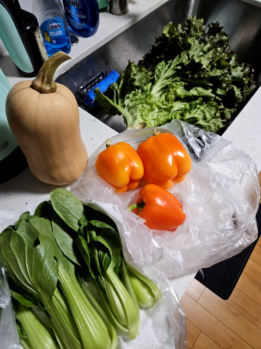 _Rosey's tweet photo. successful veggie harvest day!! https://t.co/PgWOdgyfaA
