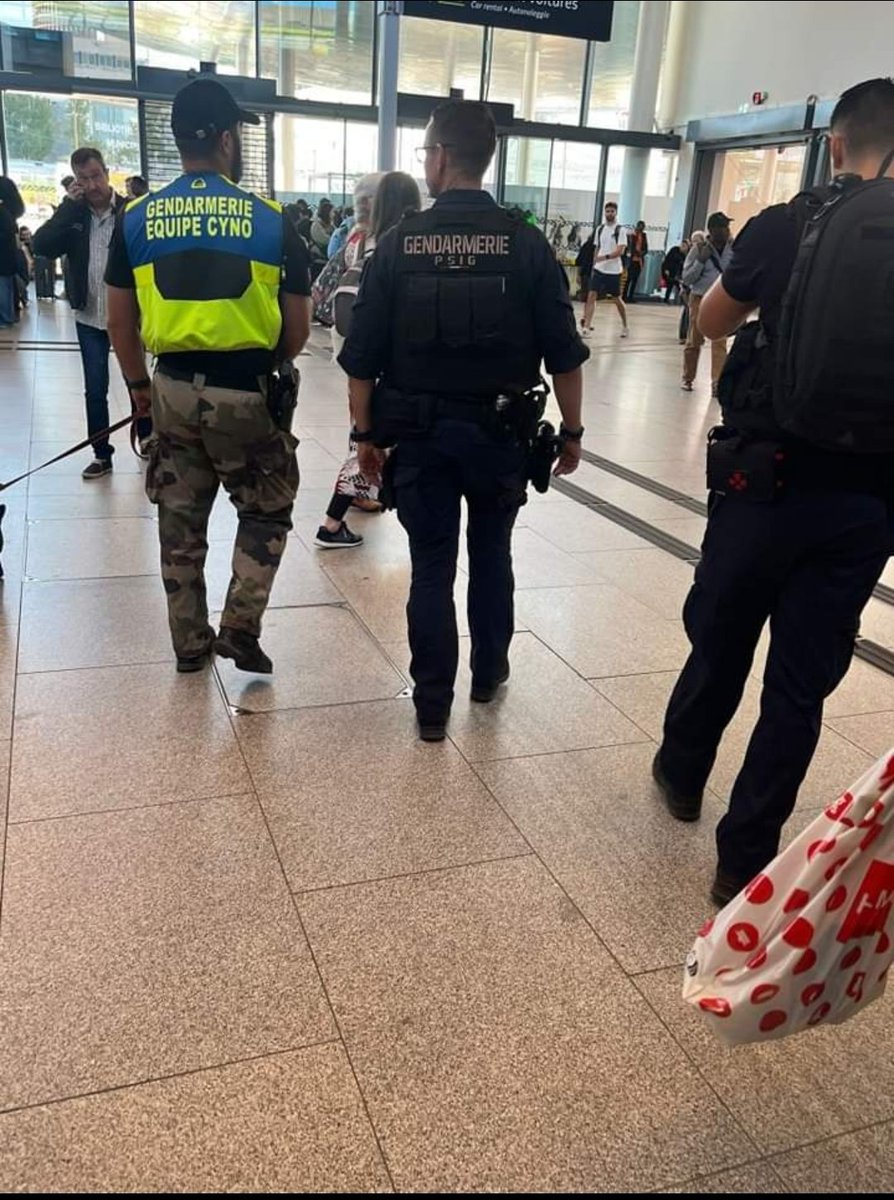 Gendarmerie_069's tweet photo. Sécurisation des transports
Le 19/09/2024, le PSIG de Sathonay-Camp accompagné du chien 🐕 sécurisent la ligne Lyon/Belleville.
Plusieurs infractions relevées pour détention de stupéfiants.
Numéro a retenir :
- 1️⃣7️⃣
- 3️⃣1️⃣1️⃣7️⃣ (police ferroviaire)
#Masecurite
#repondrepresent https://t.co/46uXUaXiAg