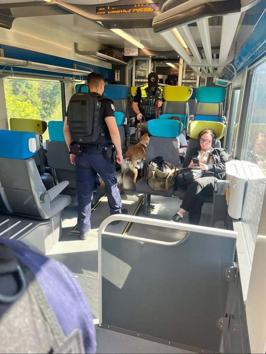 Gendarmerie_069's tweet photo. Sécurisation des transports
Le 19/09/2024, le PSIG de Sathonay-Camp accompagné du chien 🐕 sécurisent la ligne Lyon/Belleville.
Plusieurs infractions relevées pour détention de stupéfiants.
Numéro a retenir :
- 1️⃣7️⃣
- 3️⃣1️⃣1️⃣7️⃣ (police ferroviaire)
#Masecurite
#repondrepresent https://t.co/46uXUaXiAg