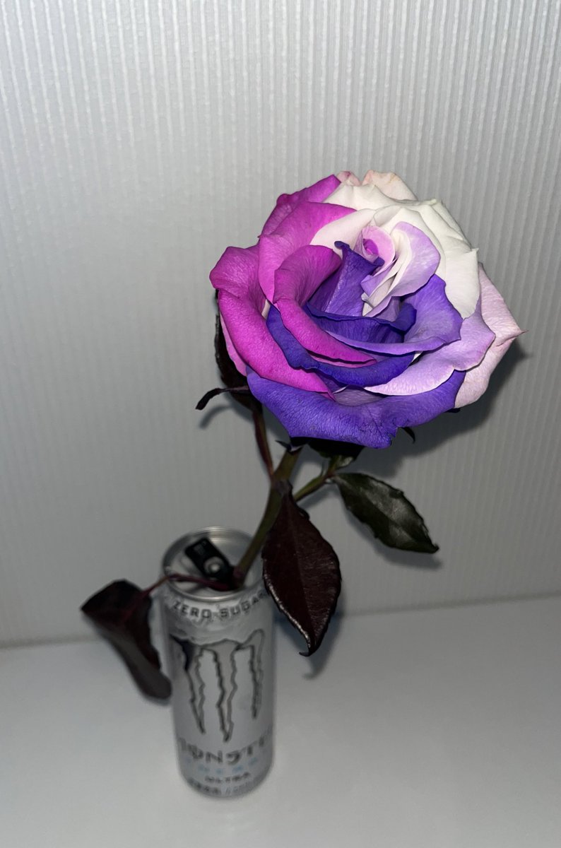 NIA_t0_'s tweet photo. 花瓶なくて申し訳ないのですが、花屋さんで見つけた薔薇がめちゃめちゃ🥂✨さん概念だったので見てください https://t.co/dN9T5tbS3D