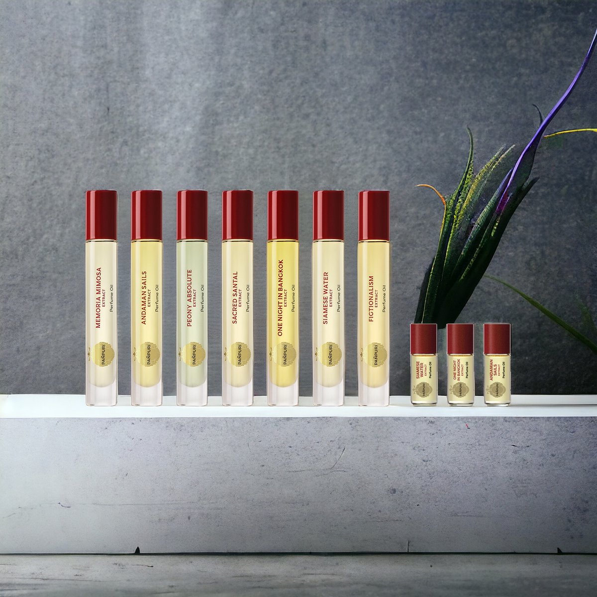 PANPURI 〈パンピューリ〉 (@panpuri_japan) / Posts / X