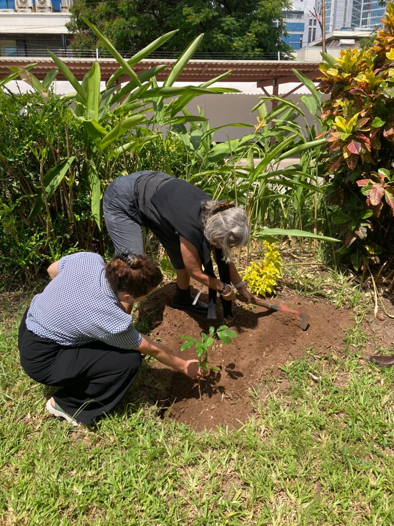 FinnishEmbassyTZ tweet media
