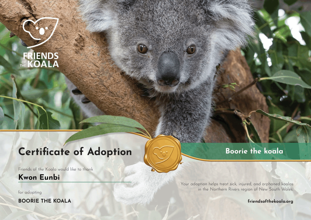 Kwon Eunbi Intl. tweet media