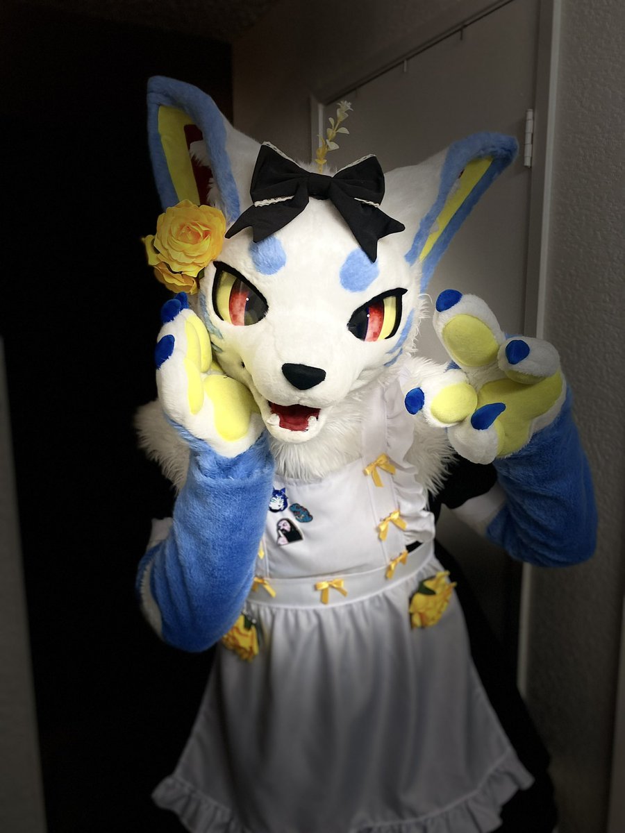 PajraGaoGao's tweet photo. おかえりなさいませごう主人様！

I hope to see you here at AFC! I will be helping in the maid cafe ^w^ Will I see you there? 💙☁️🌼

#AFC #AnotherFurCon #FursuitFriday https://t.co/4CwXYdHQnm