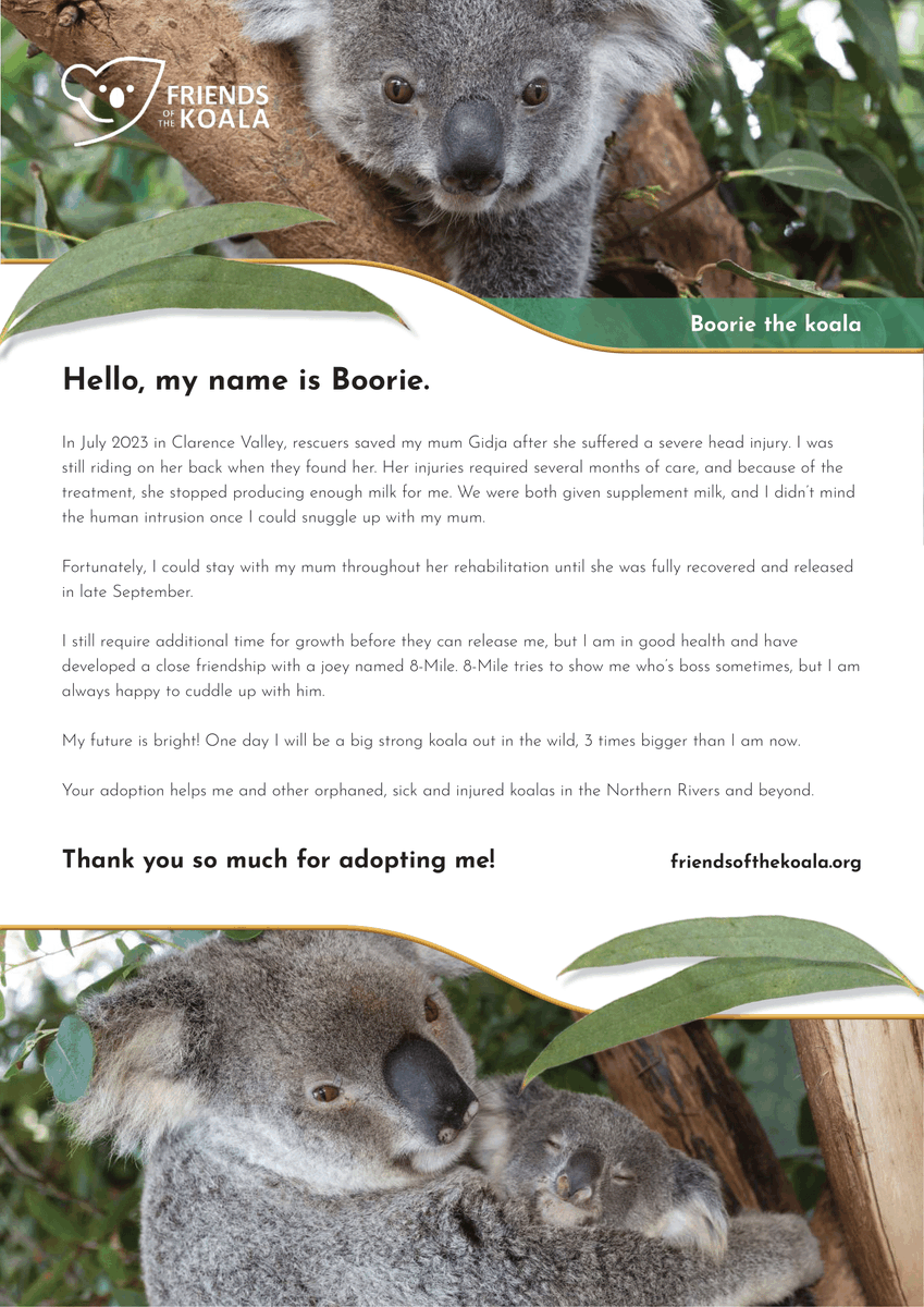 Kwon Eunbi Intl. tweet media