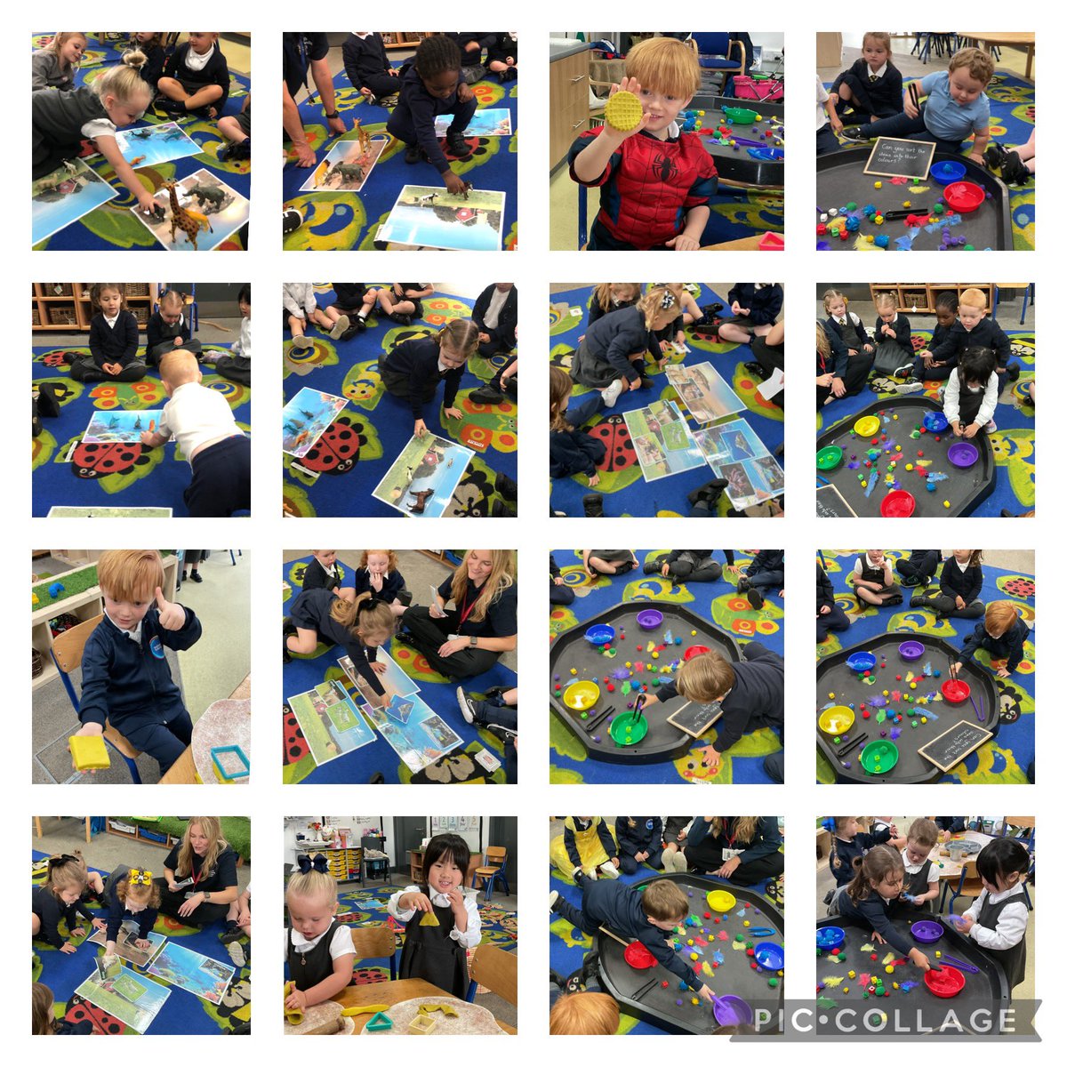 This week in Maths, we have been learning how to classify colours, animals and basic 2D shapes 🌟<a href="/CroxtethC/">CroxtethCPS</a>