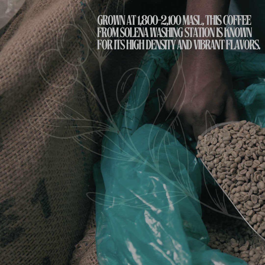 BelfastCoffeeRoasters tweet media