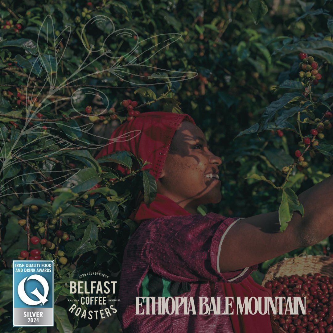 BelfastCoffeeRoasters tweet media