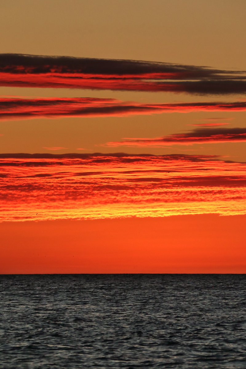 WLH1972's tweet photo. Morning all! When you don’t really want to get up but you get a huge reward!!!
Please share your new #sunrise (or #sunset) #photos
#landscape #seascape #Photography https://t.co/Cjmu35HUWW