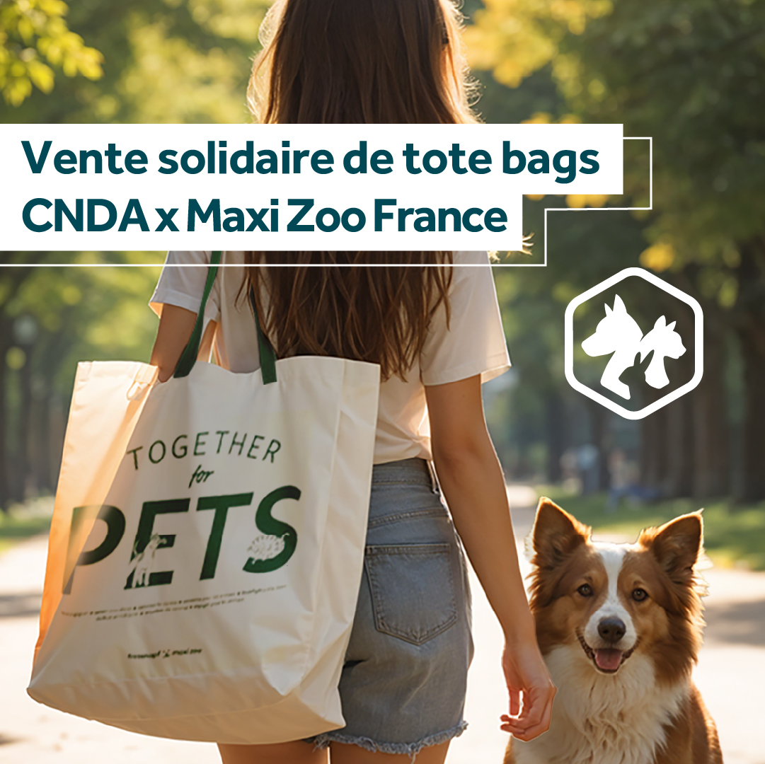 [𝗩𝗘𝗡𝗧𝗘 𝗦𝗢𝗟𝗜𝗗𝗔𝗜𝗥𝗘 𝗗𝗘 𝗧𝗢𝗧𝗘 𝗕𝗔𝗚𝗦] <a href="/MaxiZooFrance/">Maxi Zoo France</a>  lance une collecte nationale qui va bénéficier à Défense de l’Animal et à une autre association de #protectionanimale.
Plus d'infos juste ici ➡️ defensedelanimal.fr/actualites/ven…
