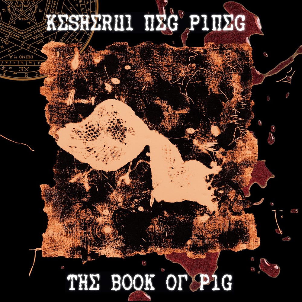 2 new releases available today: Toc &amp; Paulina Owczarek | Psychedelic Jelly &amp; Kesherul Neg Pineg | The Book Of Pig. Available in vinyl 12'', HD downloads and streaming on circum-disc.com and circum-disc.bandcamp.com !