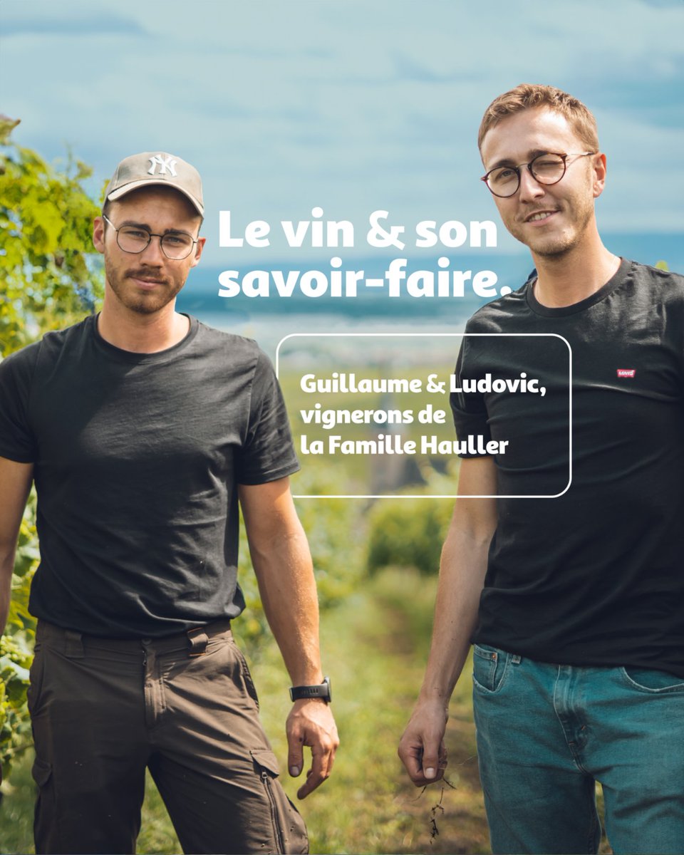 La #FoireauxVins #Auchan, c’est un savoir-faire viticole 🍇🚜
Les frères Hauller rayonnent avec leurs vins familiaux 🌍🍷
En hyper dès aujourd'hui, en super jusqu'au 29/09📢
L’abus d’alcool est dangereux pour la santé, à consommer avec modération.

bit.ly/3AYm35f